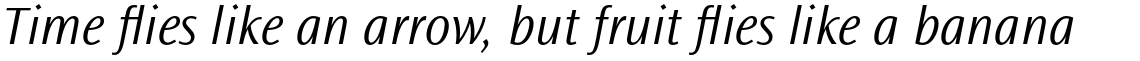 Ocean Sans Pro Light Italic