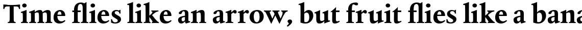 Albertina Pro Bold