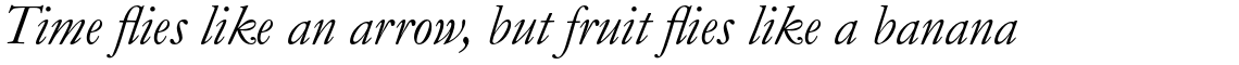 Monotype Garamond Pro Italic