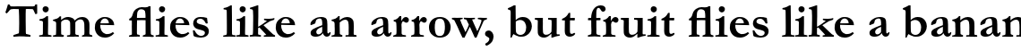 Monotype Garamond Pro Bold