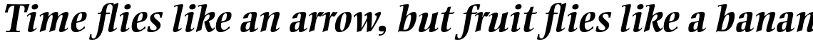 Ellington Std Bold Italic