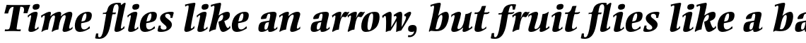 Ellington Std Extra Bold Italic