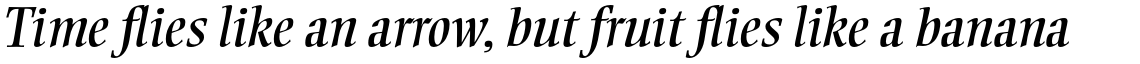 Ellington Std Italic