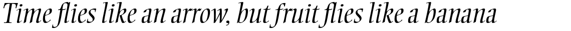 Ellington Std Light Italic