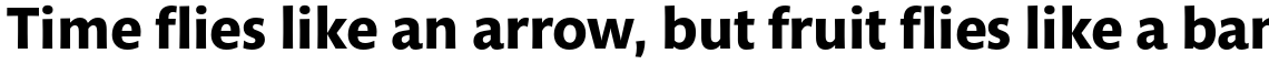 Mundo Sans Pro Bold