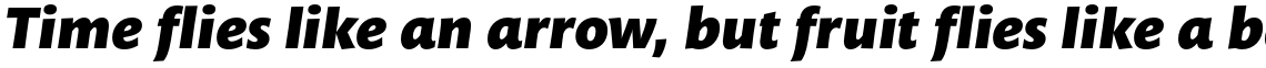 Mundo Sans Pro Black Italic