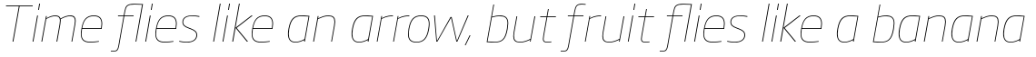Soho Gothic Pro Thin Italic