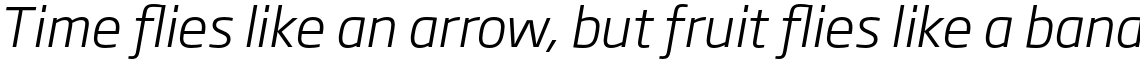 Soho Gothic Pro Light Italic