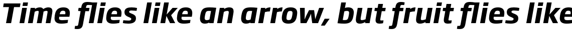 Soho Gothic Pro Bold Italic