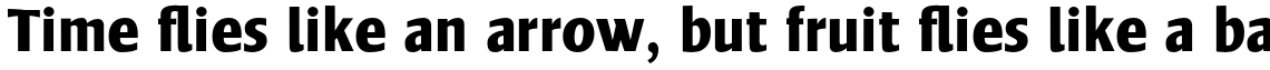 Frisans Std Bold