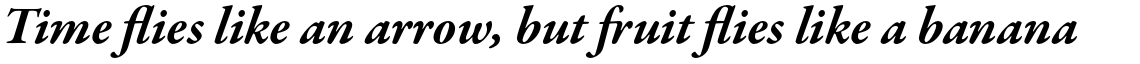 Garamond Premier Pro Bold Italic