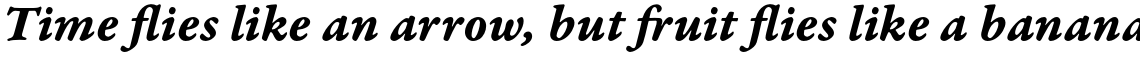Garamond Premier Pro Bold Italic Caption