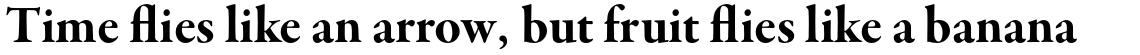 Garamond Premier Pro Bold Subhead