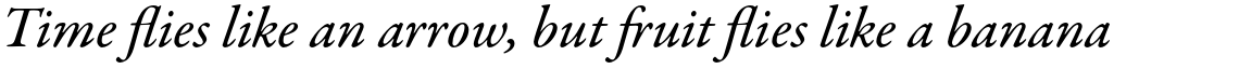 Garamond Premier Pro Medium Italic