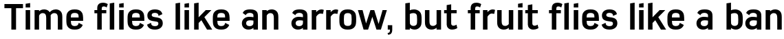Azbuka Pro Bold