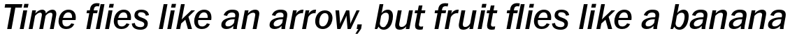 ITC Franklin Pro Medium Italic