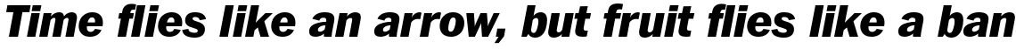 ITC Franklin Pro Black Italic