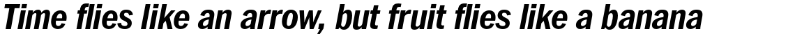 ITC Franklin Pro Narrow Bold Italic