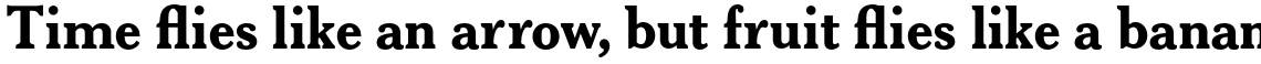 Gloucester Std Bold
