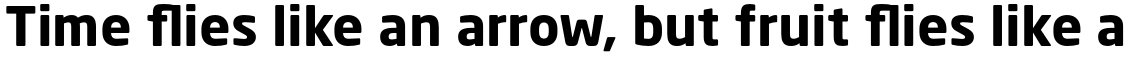 Neo Sans Pro Cyrillic Bold
