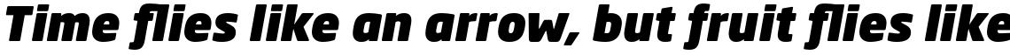 Neo Sans Pro Cyrillic Ultra Italic
