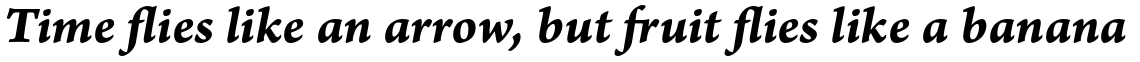 Arno Pro Caption Bold Italic
