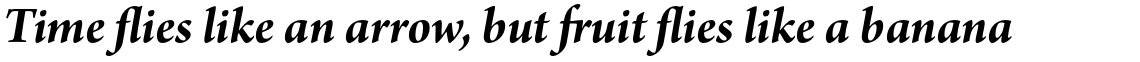 Arno Pro Subhead Bold Italic