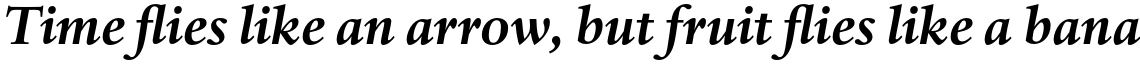 Haarlemmer Std Bold Italic