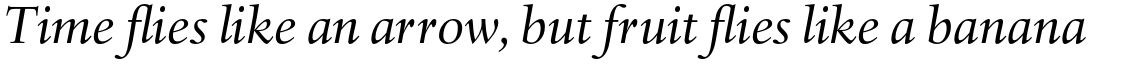 Haarlemmer Std Italic