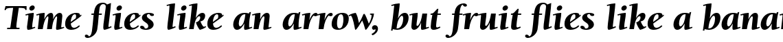 ITC Berkeley Old Style Std Black Italic