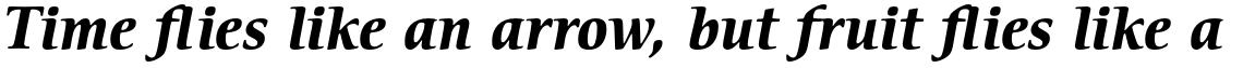 ITC Cerigo Std Bold Italic