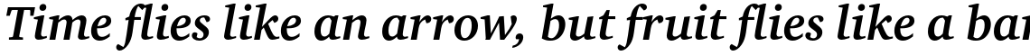 ITC Charter Pro Bold Italic