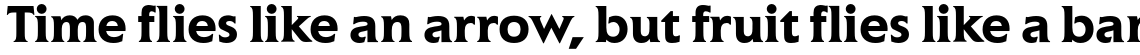 ITC Elan Std Bold