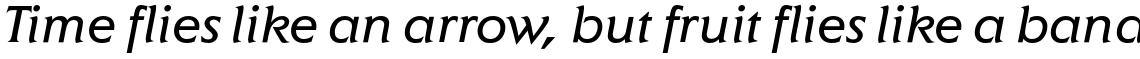 ITC Elan Std Book Italic