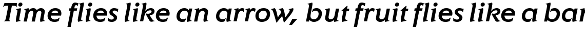 ITC Elan Std Medium Italic