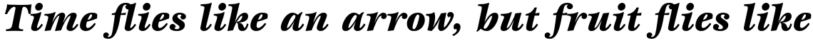 ITC Esprit Std Black Italic