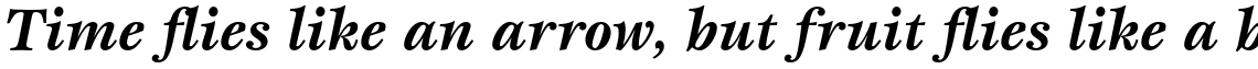 ITC Esprit Std Bold Italic