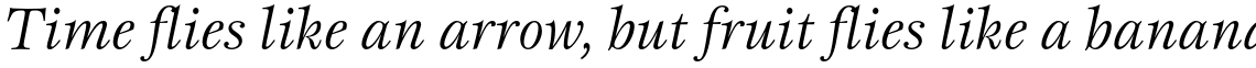 ITC Esprit Std Book Italic