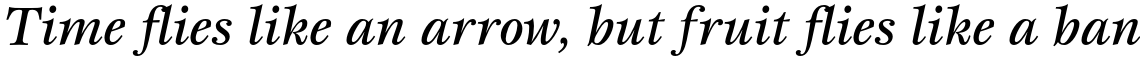 ITC Esprit Std Medium Italic