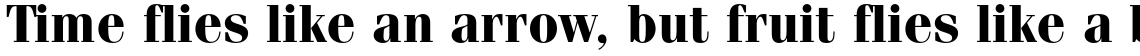 ITC Fenice Std Bold