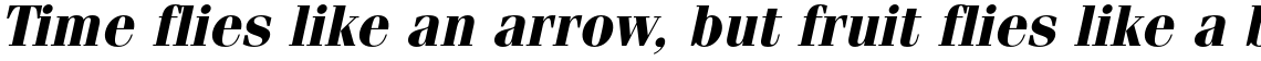 ITC Fenice Std Bold Oblique