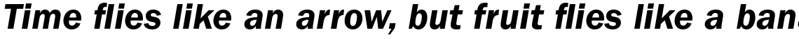 ITC Franklin Gothic Std Demi Italic
