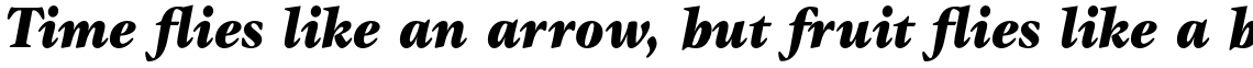 ITC Gamma Std Black Italic