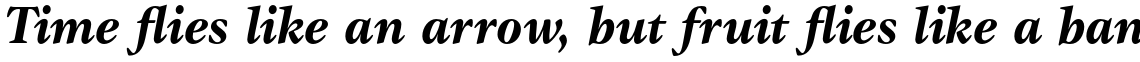 ITC Gamma Std Bold Italic