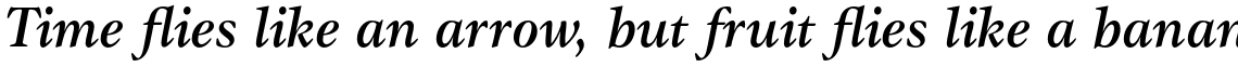 ITC Gamma Std Medium Italic