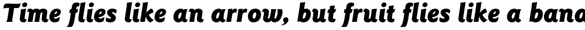 ITC Goudy Sans Std Black Italic
