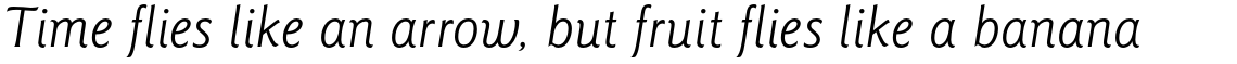 ITC Goudy Sans Pro Book Italic