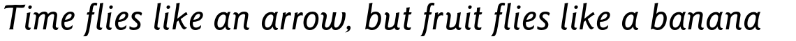 ITC Goudy Sans Pro Medium Italic