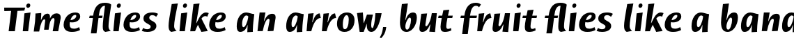 ITC Humana Sans Std Bold Italic