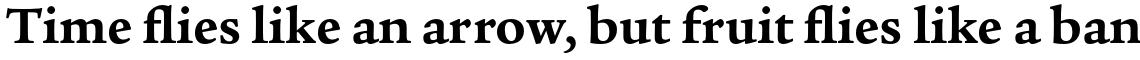 ITC Legacy Serif Pro Bold